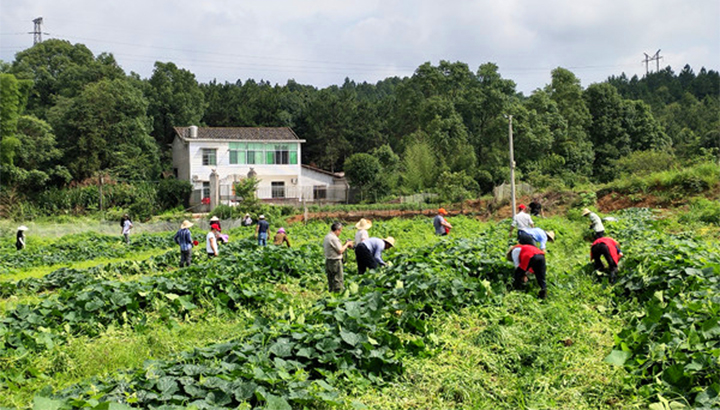 湘潭县：三年强村计划让集体经济有“钱”景