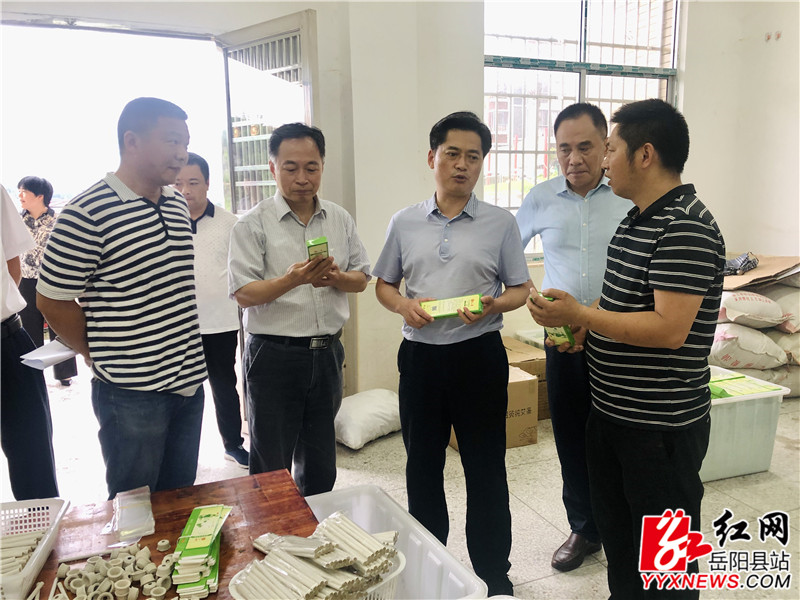 赵岳平一行在艾叶生茶车间实地走访.jpg