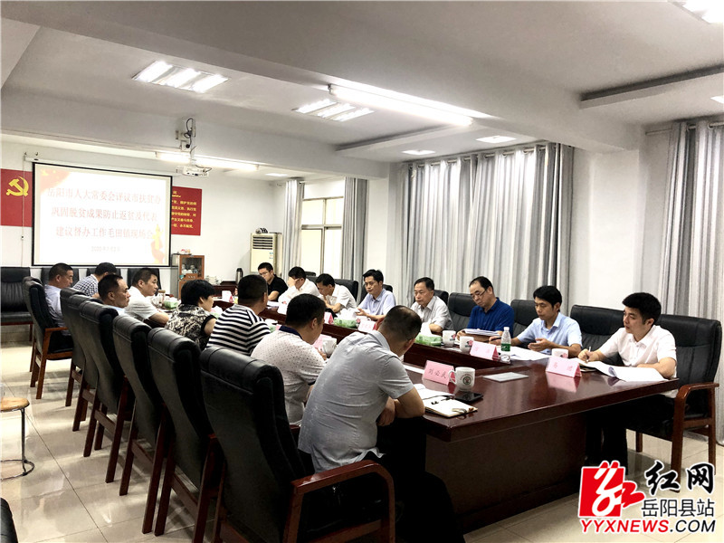 会议现场.jpg