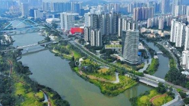 获评最多，首届自贸片区党建创新案例南沙亮了！