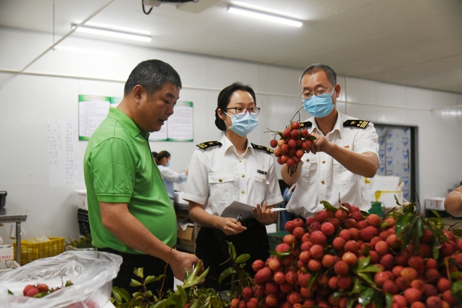 首次走进东盟市场，增城“桂味”飘香泰国