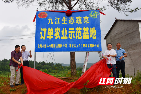 九江生态蔬菜订单农业示范基地揭牌。.jpg 九江生态蔬菜订单农业示范基地揭牌。.jpg