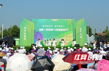 澧县第十四届葡萄节开幕 现场签约销售额1.5亿元