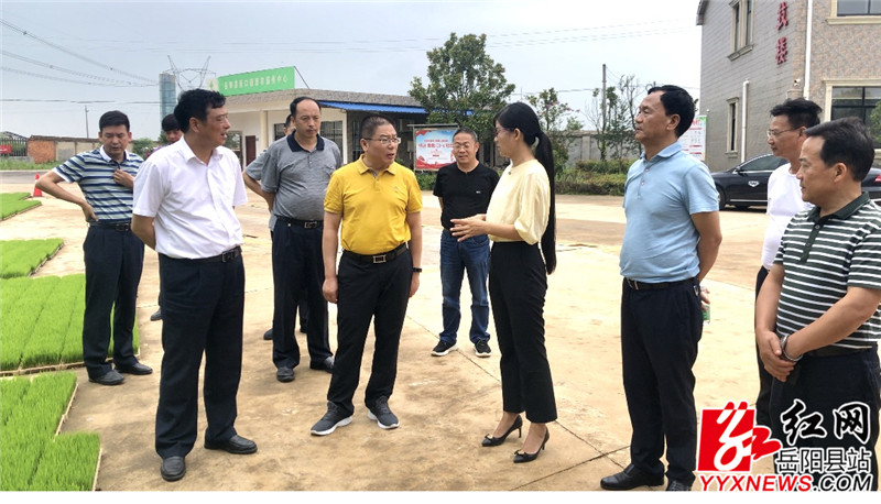 张亦贤一行实地察看了岳阳县丰瑞农机专业合作社_副本.jpg