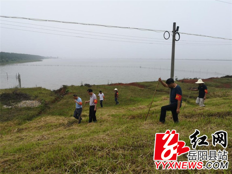 党员们下堤巡查_副本.jpg 党员们下堤巡查_副本.jpg