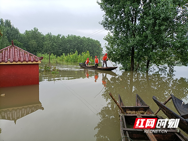 常德澧县供电公司共产党员服务队在洪水淹没的梦溪镇梦溪老街划着小船巡视线路。3.jpg
