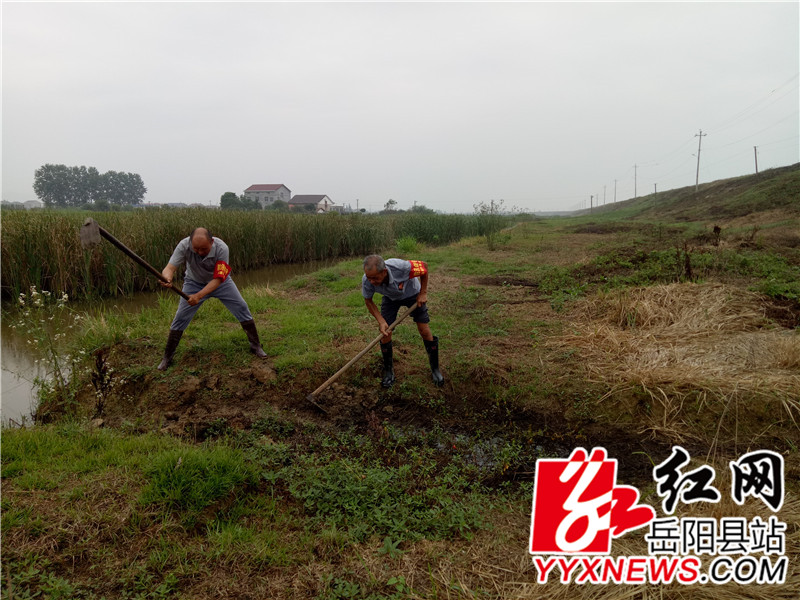 党员在大堤外侧除草扫障_副本.jpg 党员在大堤外侧除草扫障_副本.jpg