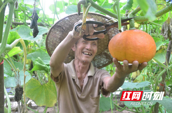 图片 8.marked.png 图片 8.marked.png