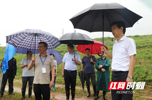 台记者 王子成)7月8日,津市市委书记傅勇沿线踏勘澧水大堤阳由垸堤段