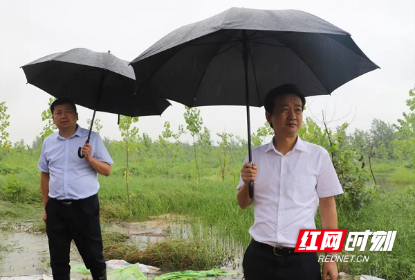 台记者 王子成)7月8日,津市市委书记傅勇沿线踏勘澧水大堤阳由垸堤段