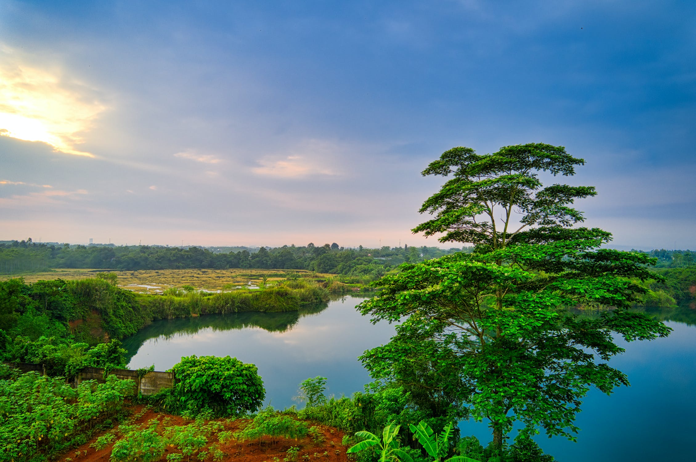 小说丨方欣来:鱼塘边的日子
