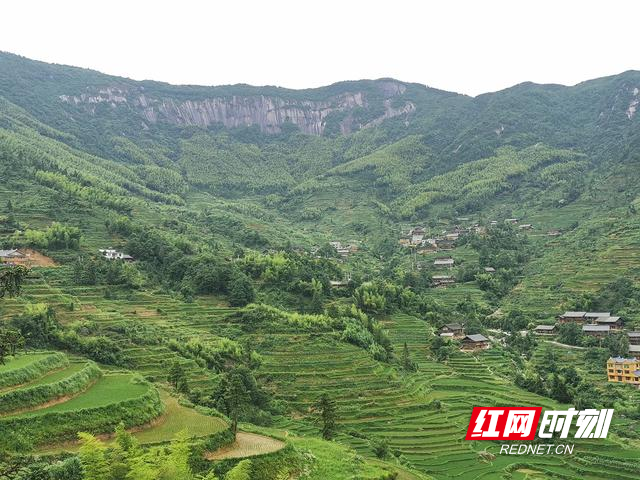 欧阳斌:我对雪峰文化的一点思考