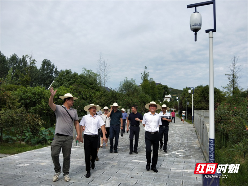 大祥区:邓涛现场调度蔡锷故里文化博览园建设