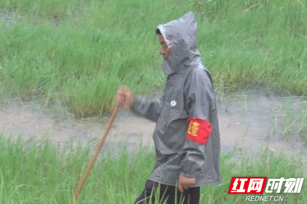 宝塔村志愿者杨治春冒雨巡查.jpg