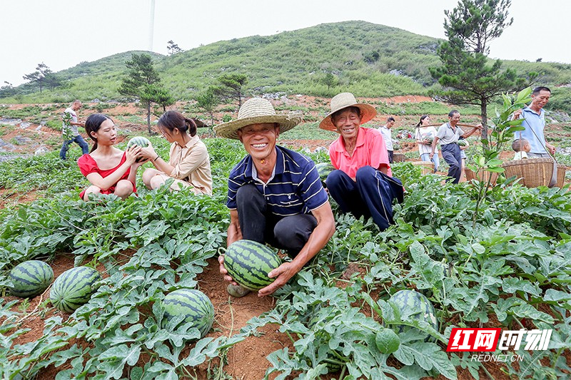 1.（陈卫平、唐四强摄）.jpg