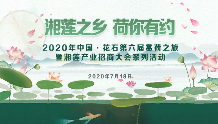 湖南湘潭县：湘莲成老百姓致富“金粒子”