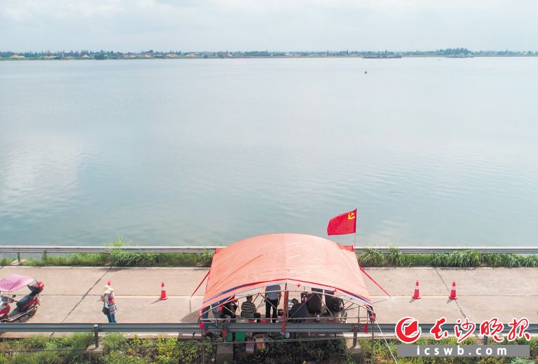 ↑望城区茶亭镇苏蓼垸一线防洪大堤“500米一棚，200米一伞”，干部群众在大堤上轮流值守。