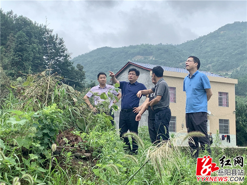 田文静一行步行查看农田、房屋等受损情况 (1)_副本.jpg