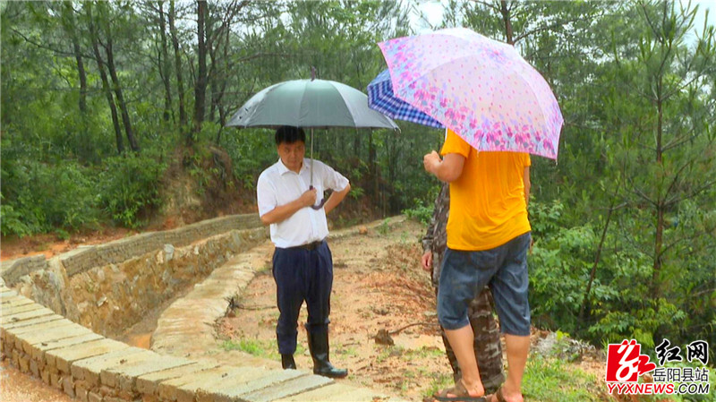 曾平原 (2)_副本.jpg