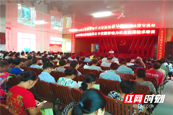 武冈:实用技能培训让群众致富有底气_副本.jpg 武冈:实用技能培训让群众致富有底气_副本.jpg
