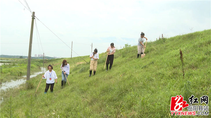 巡堤1女子 (1)_副本.jpg