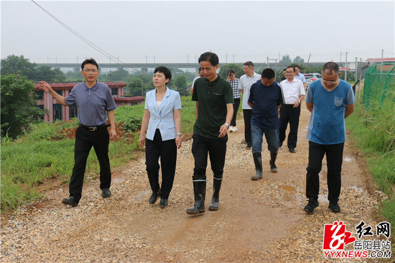 马娜查看防汛值班日志 (2)_副本.jpg