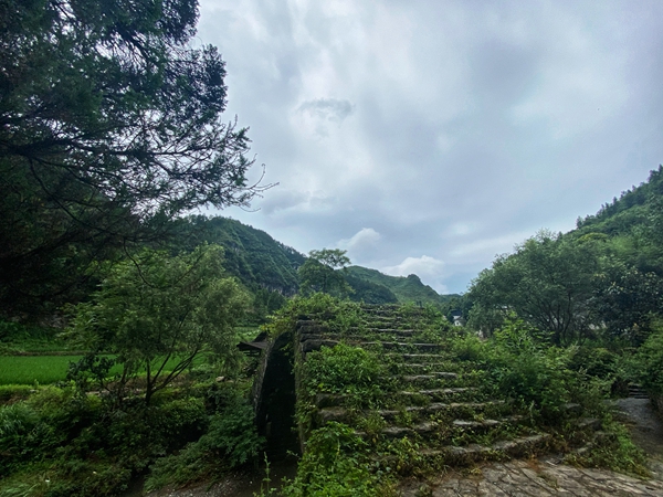 IMG_3737(20200712-165932).jpg IMG_3737(20200712-165932).jpg