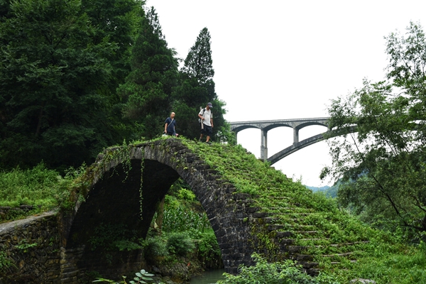 IMG_3734(20200712-165716).jpg IMG_3734(20200712-165716).jpg