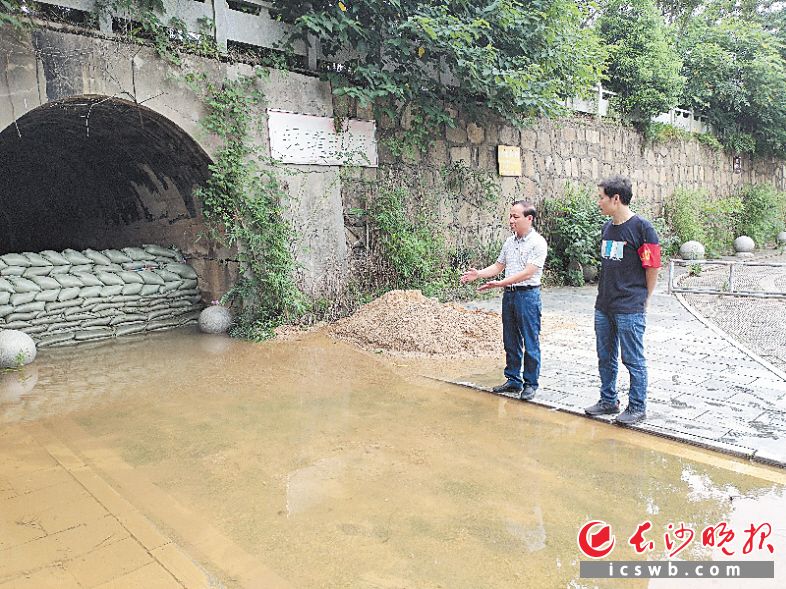 　　陈正良带着儿子陈浩宇在芦江社区查看靖港古镇铜靖渡口公路涵防汛情况。                    长沙晚报通讯员 李思亮 摄