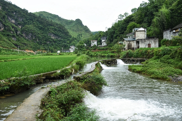 IMG_3732(20200712-165624).jpg IMG_3732(20200712-165624).jpg