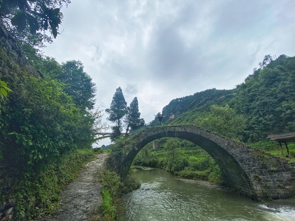 IMG_3739(20200712-170127).jpg IMG_3739(20200712-170127).jpg