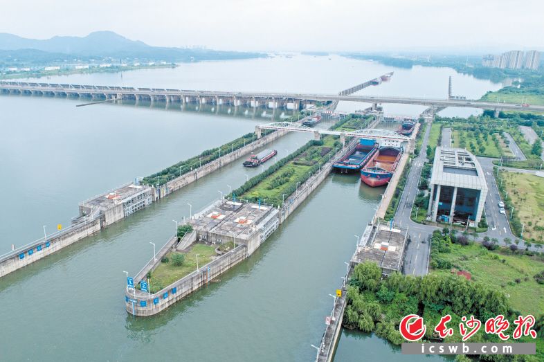 　　11日下午，航拍镜头下的湘江长沙综合枢纽。据悉，受洞庭湖湖水顶托影响，预计未来一周内，湘江长沙段水位仍将维持在35米以上。长沙晚报全媒体记者 王志伟 余劭劼  摄影报道