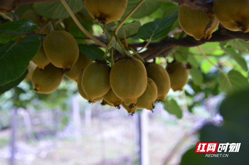 微信图片_20200714154658_副本.jpg 微信图片_20200714154658_副本.jpg