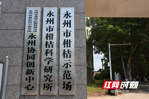 市柑科所1_副本.jpg