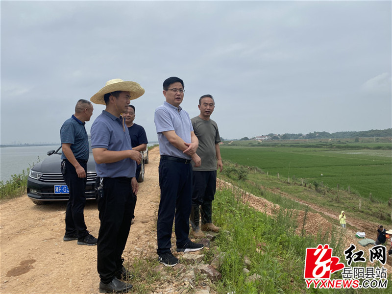 田文静在杨柳垸处险现场查看_副本1.jpg