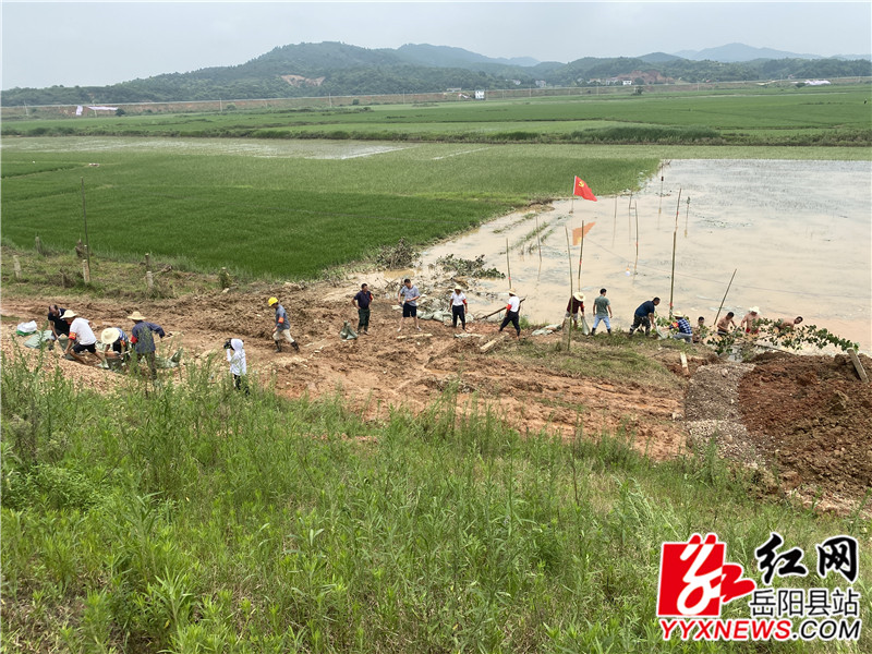 杨柳垸处险现场_副本.jpg