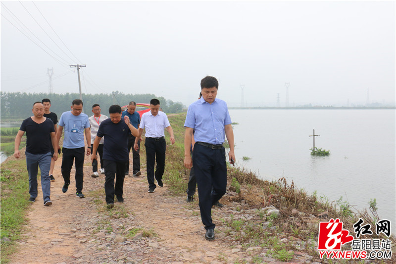 在麻塘新河垸查看巡堤值守_副本.jpg