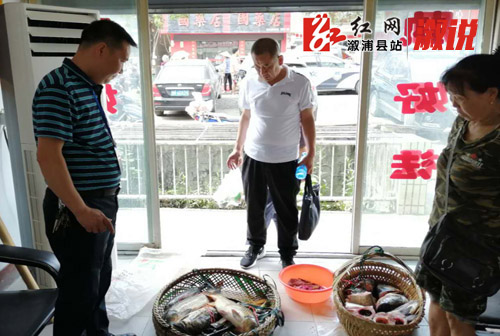 1212121xin.jpg