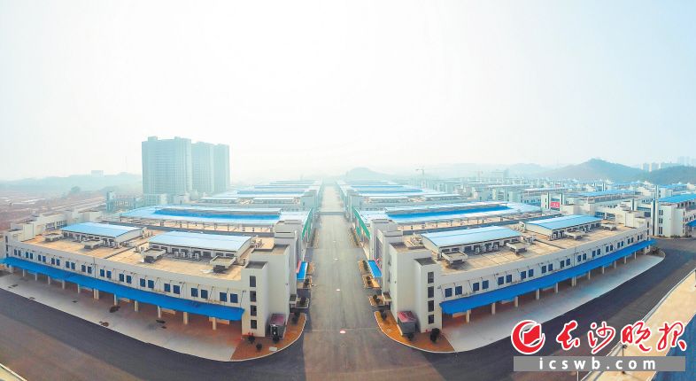 　　红星农副产品全球采购中心一期基本建设完成，预计今年10月试运营 。龙洪波 摄