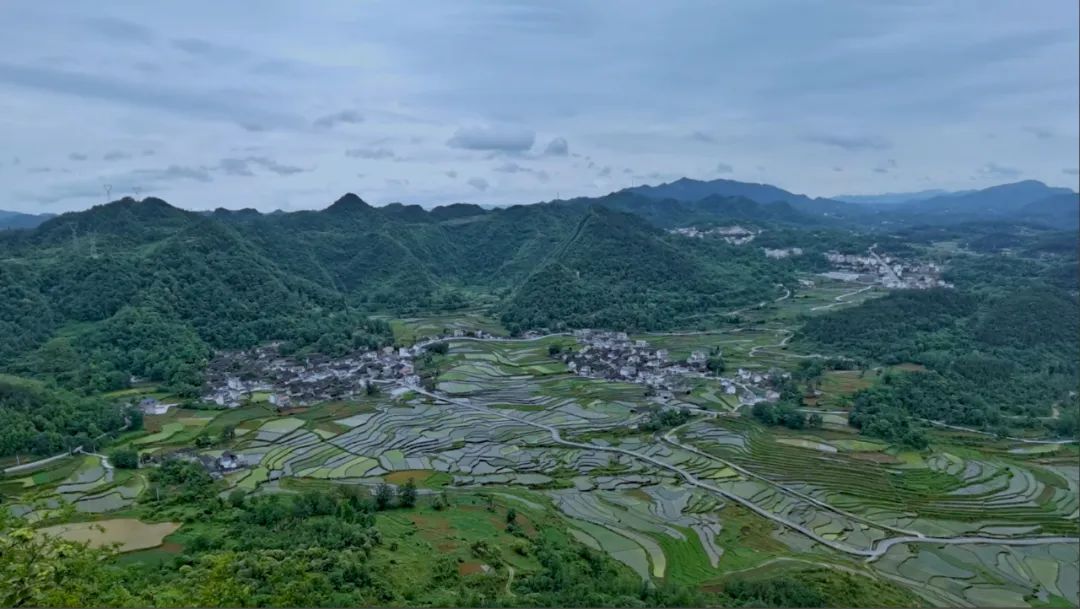 纷繁多样的植物构成了子腊村优良的生态系统,堪称天然的生物基因库和