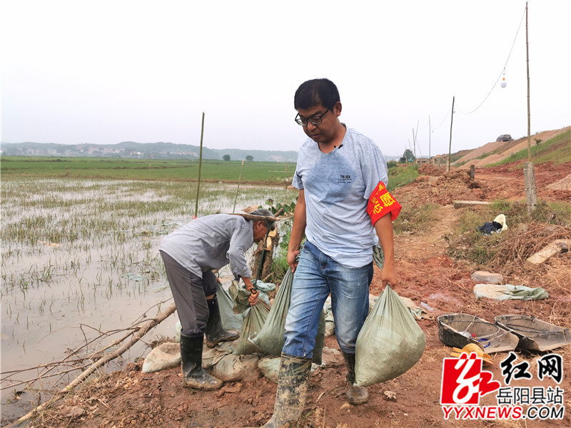 李海 (2)_副本.jpg