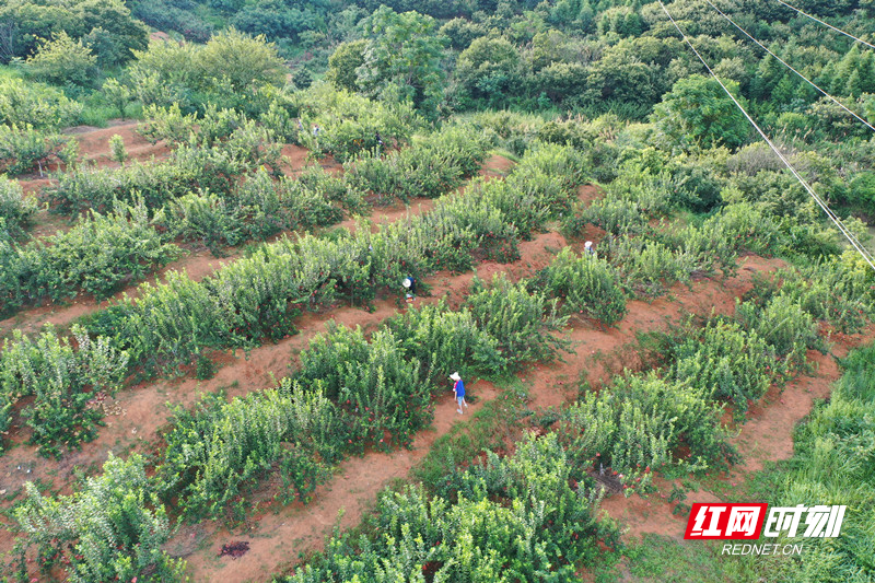 微信图片_20200719113657.jpg 微信图片_20200719113657.jpg