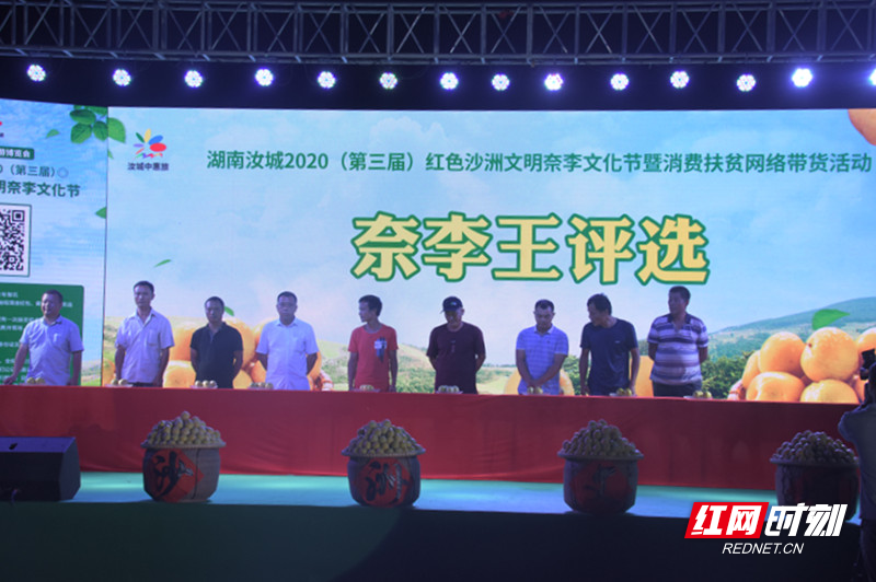 DSC_2082.JPG DSC_2082.JPG