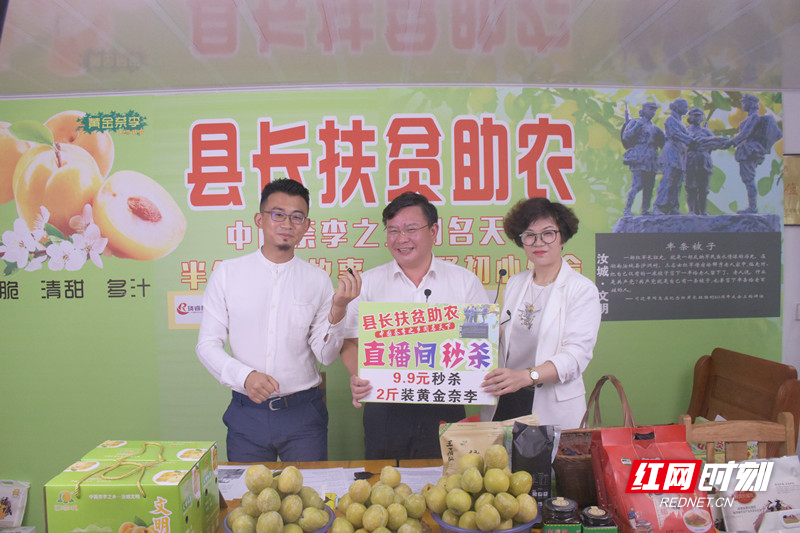 DSC_1817.JPG DSC_1817.JPG