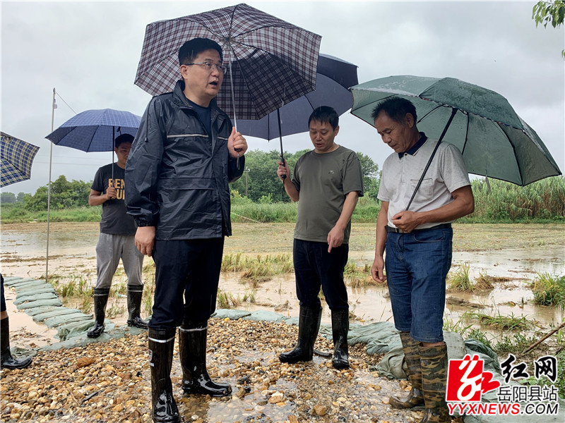 田文静在六合垸毛坵段实地查看群涌险情处置情况_副本.jpg