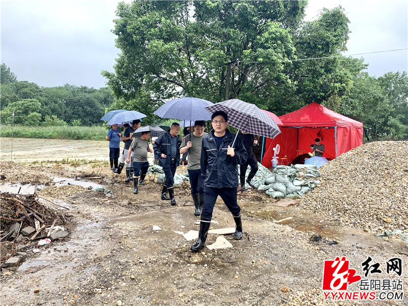 田文静在六合垸毛坵段实地查看群涌险情处置情况1_副本.jpg