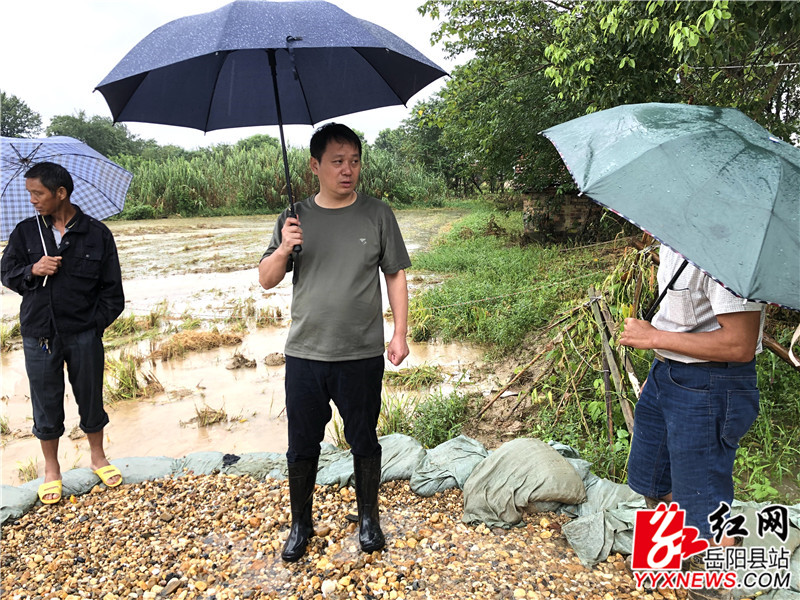 吴光文在荣家湾镇六合垸唐明伍、毛坵、费高新险段查看险情 (2)_副本.jpg