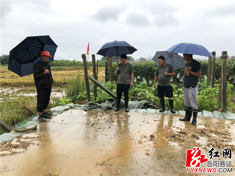 吴光文在荣家湾镇六合垸唐明伍、毛坵、费高新险段查看险情 (3)_副本.jpg