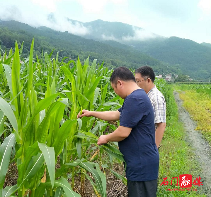 科技3.jpg 科技3.jpg