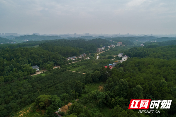 幸福的炊烟丨邵阳莲荷村:开启"后花园"式的幸福生活